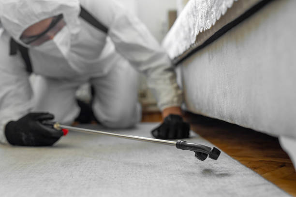 Professional Bed Bug Control technician working in Sibley, LA