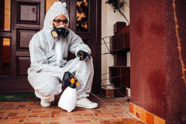 Reliable Bed Bug Control contractor in Sibley, LA by Nex Pest Control