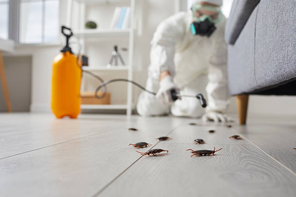 Trusted Emergency Pest Control service in Sibley, LA - Nex Pest Control