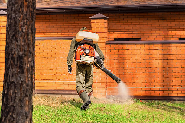 Trusted Mosquito Control service in Sibley, LA - Nex Pest Control